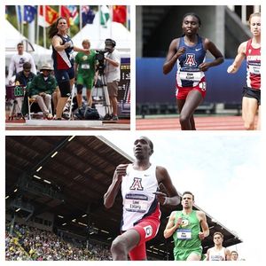 Image post by @arizonatrack on Instagram