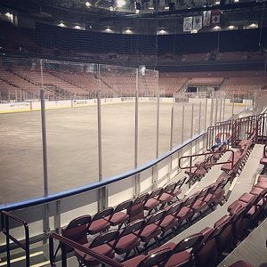Image post by @swamprabbits on Instagram
