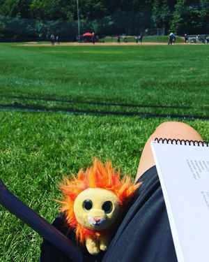 Image post by @culionssoftball on Instagram