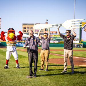 Image post by @rocredwings on Instagram