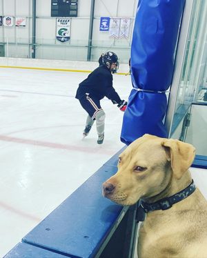 Image post by @nshockeyacademy on Instagram