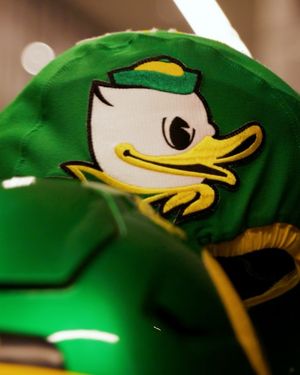 Image post by @goducks on Instagram