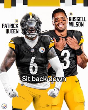 Image post by @steelers on TikTok