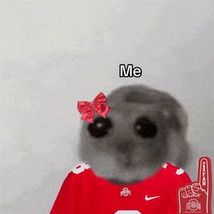 Video post by @ohiostateathletics on TikTok