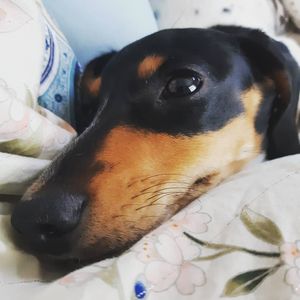 Image post by @hollysmee on Instagram