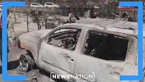 Video post by @newsnation on YouTube