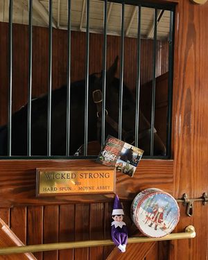 Image post by @spendthriftfarm on Instagram