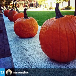 Image post by @penncareylaw on Instagram