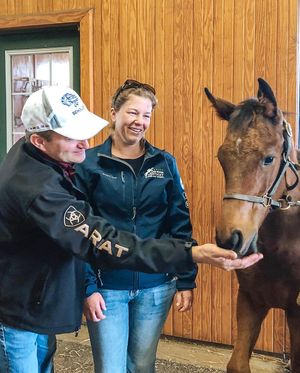 Image post by @spendthriftfarm on Instagram