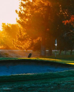 Image post by @pga on Instagram