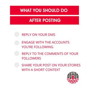 Image post by @redrootmarketing on Instagram