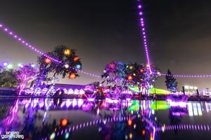 Image post by @beyondwland on Instagram