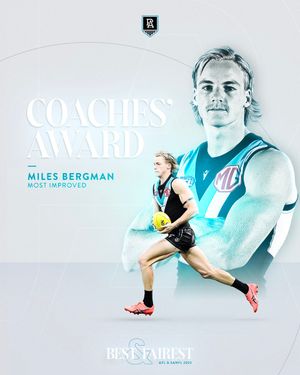 Image post by @PAFC on Twitter