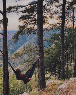 Image post by @nauflagstaff on Instagram