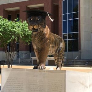 Image post by @memphisalumni on Instagram