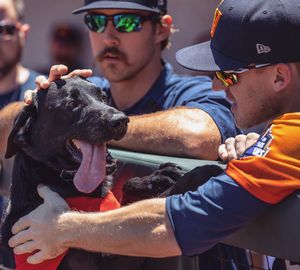 Image post by @aviatorslv on Instagram