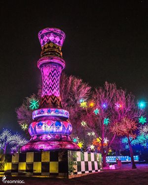 Image post by @beyondwland on Instagram