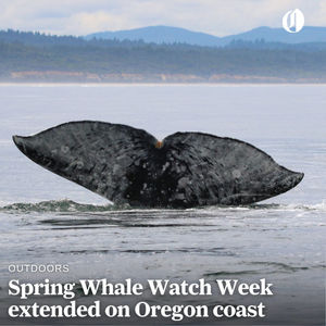 Image post by @theoregonian on Instagram