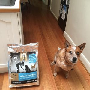 Image post by @bestforpetsmelb on Instagram