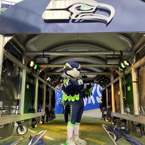 Image post by @blitztheseahawk on Instagram