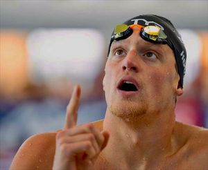 Image post by @mitochondria_house on Instagram