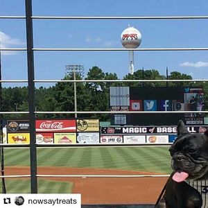 Image post by @carolinamudcats on Instagram