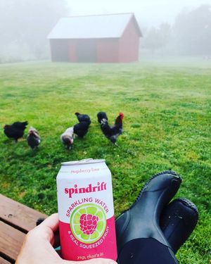 Image post by @drinkspindrift on Instagram