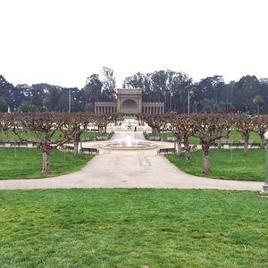 Image post by @onlyinsf on Instagram
