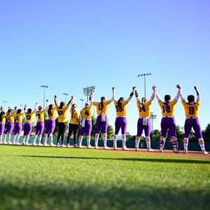 Image post by @lsusoftball on Instagram