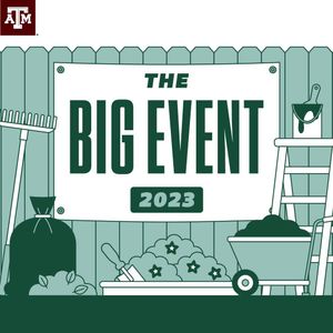 Image post by @tamu on Instagram
