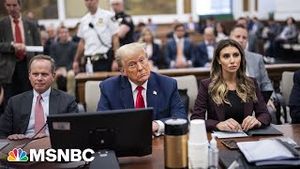 Video post by @msnbc on YouTube