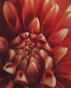 Image post by @moment on Instagram