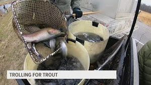 Video post by @wqadnews8 on YouTube