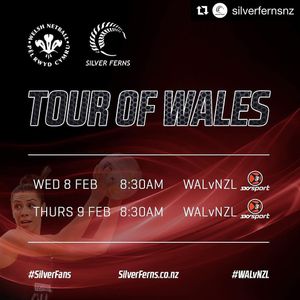 Image post by @walesnetball_ on Instagram