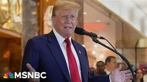 Video post by @msnbc on YouTube