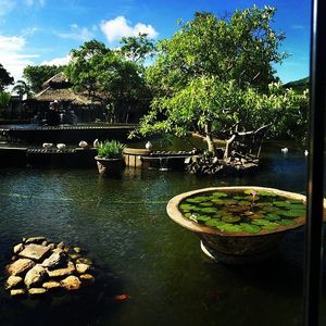 Image post by @hiltonhotels on Instagram