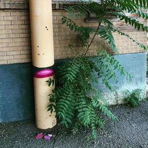 Image post by @chrishaven on Instagram