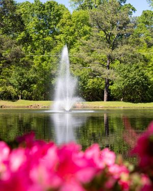 Image post by @presbyteriancollege on Instagram