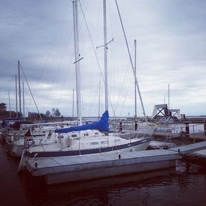 Image post by @corkkingston on Instagram