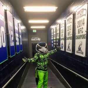Image post by @blitztheseahawk on Instagram