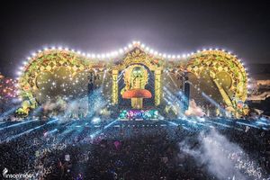 Image post by @beyondwland on Instagram