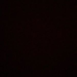 Image post by @bgreenberg96 on Instagram