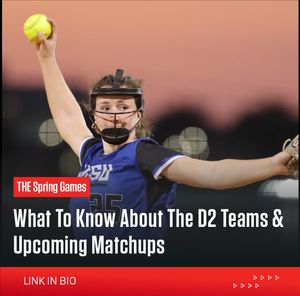 Image post by @flosoftball on Instagram