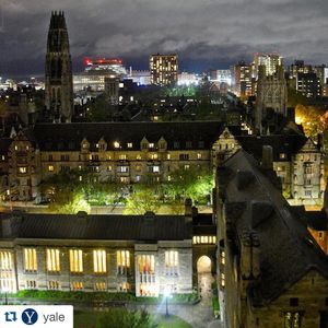 Image post by @yalevolleyball on Instagram
