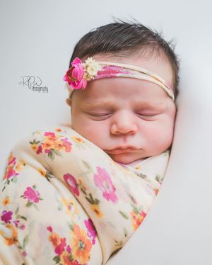 Image post by @rpwphotography_mi on Instagram