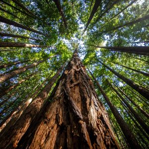 Image post by @discovery on Instagram
