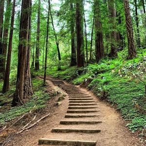 Image post by @onlyinsf on Instagram