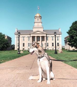 Image post by @iowaadmissions on Instagram