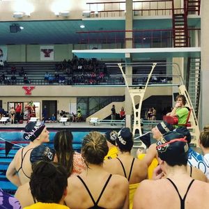 Image post by @oaklandswimdive on Instagram