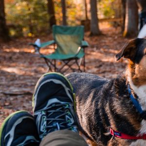 Image post by @triumphpetfood on Instagram